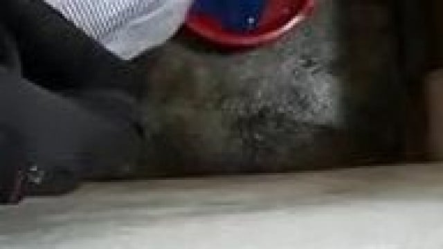 Thanh niên thôn tập tành quay lén.