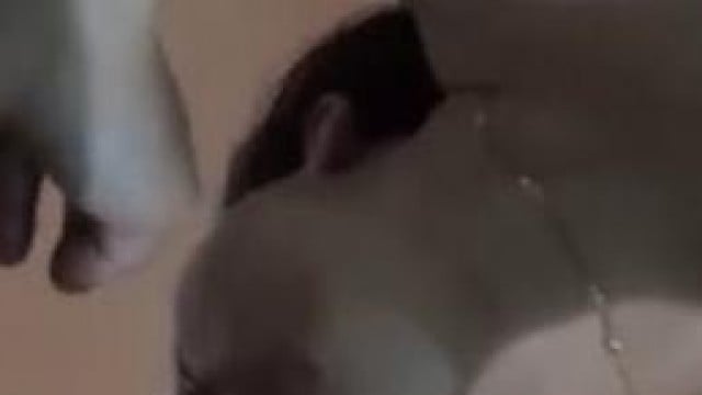 Cho em gái bú cu kiểu mới