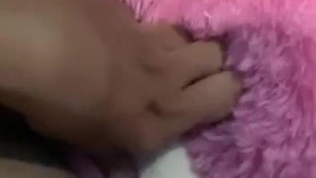 Ngứa quá chỉ biết cạ gấu bông