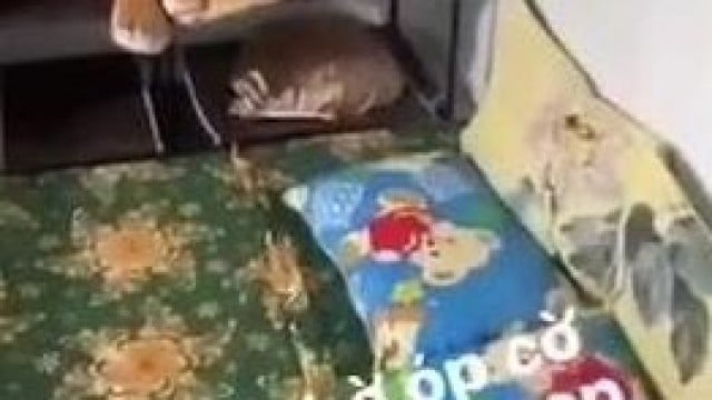 Em Mời Anh Wa Phòng Trọ Để Học Bài