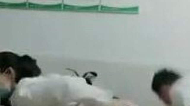 Hai bác sĩ địt nhau lúc rảnh rỗi .