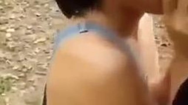 Phang trong chuồng gà