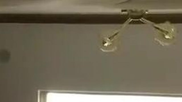 Chịch em Thảo Vy 2k4 chăn rau