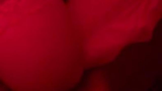 Nuôi em đã tới ngày thì thịt thôi