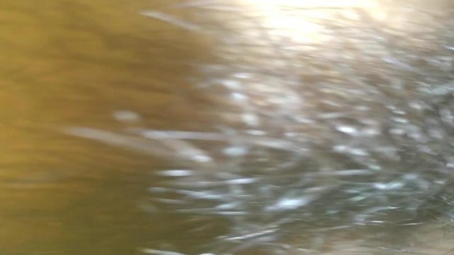 Phá Trinh em gái mới lớn