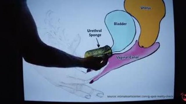 Đến giờ học lên đỉnh rồi các em