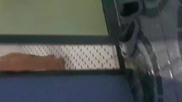 Quay ba chi dau tam (p1)