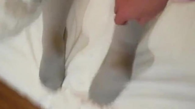 Gạ được em gái đi bar say rượu sờ lồn ướt